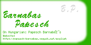 barnabas papesch business card